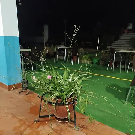 Mirador 2*